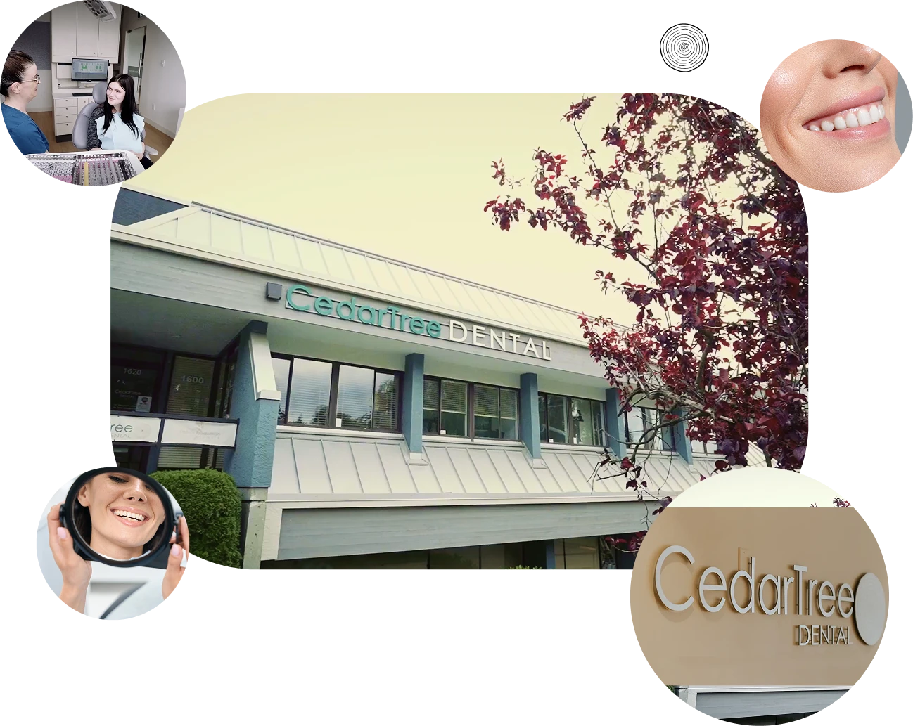 Cedar Tree Dental